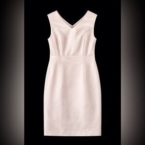 Ann Taylor Beige Sheath Dress Size 4P